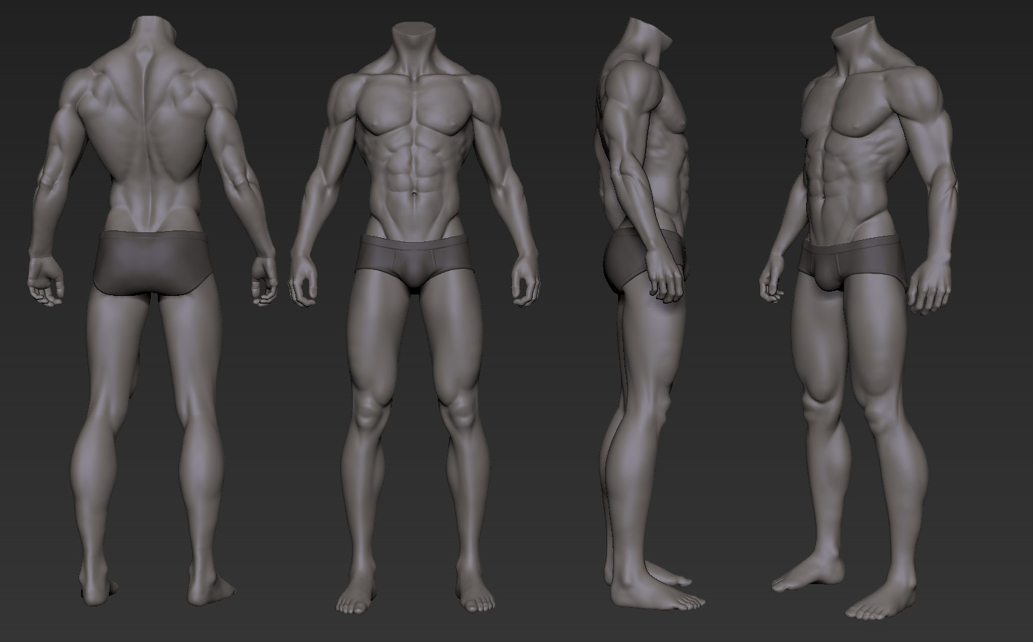 Body chapter. Мышцы человека для скульптора. Human body png. Физиология человека рисунок. Body chapter.